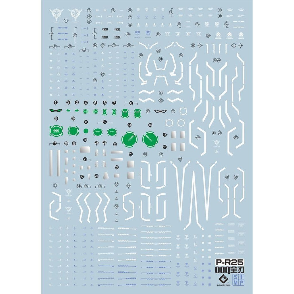 20250721 EVO PR25 RG 00Q Full Saber fluo water slide decal EVORG042