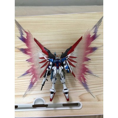 CEF G-008 RG 1/144 Destiny MB type Wing (Hard) Effects + Stand