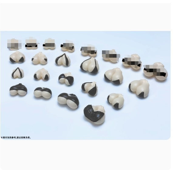 FENGYU FY 1/12 FAG Frame arms girl Face chest shoes addon parts