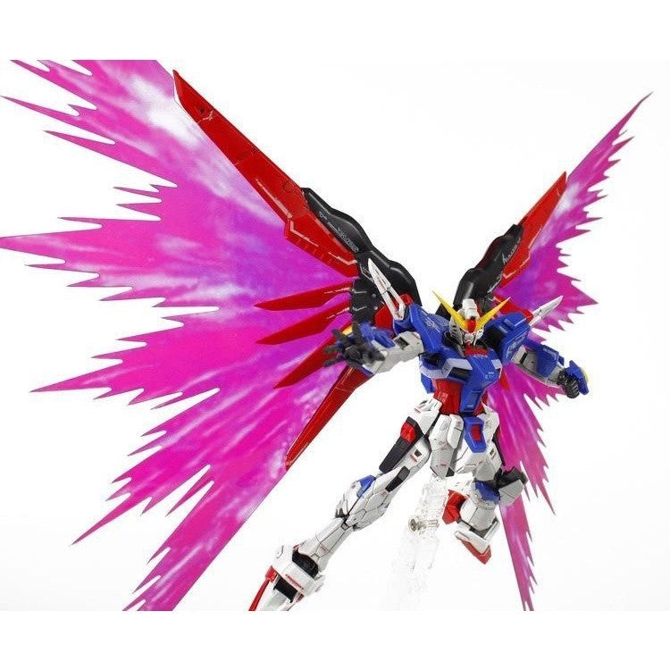 CEF RG 1/144 Destiny Lingt Wing Effect Parts
